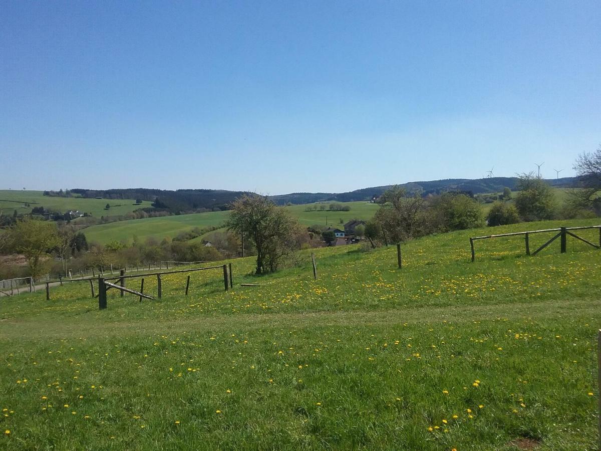 Zur Schoenen Aussicht Hellenthal Exterior photo
